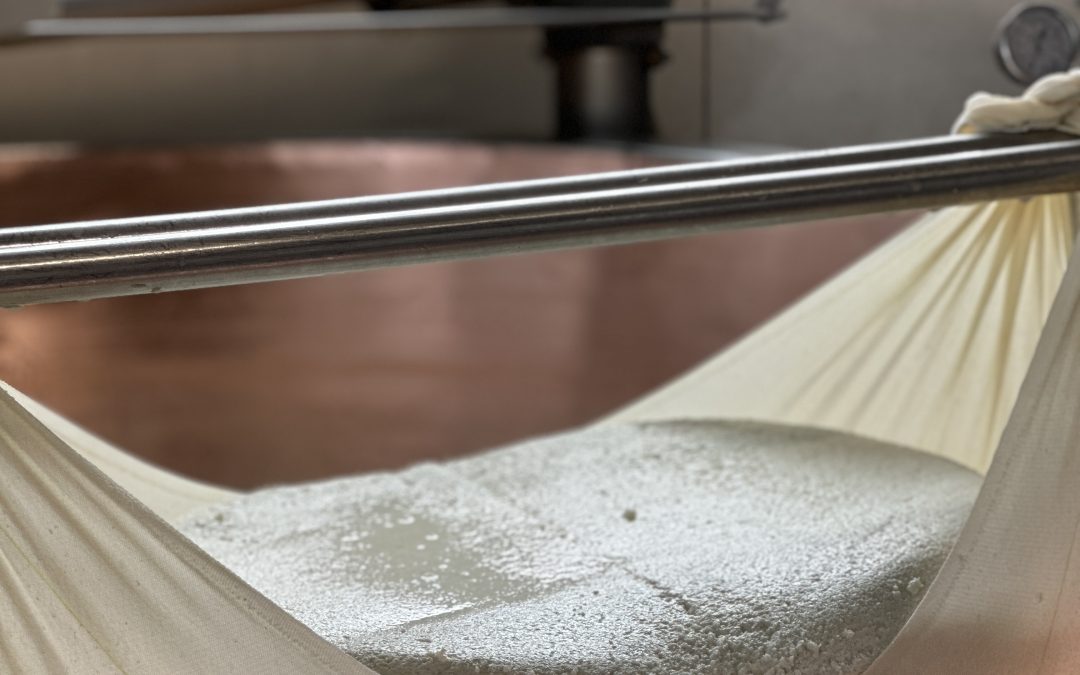 Come nasce il Parmigiano Reggiano alla Festa del Culatello di Zibello