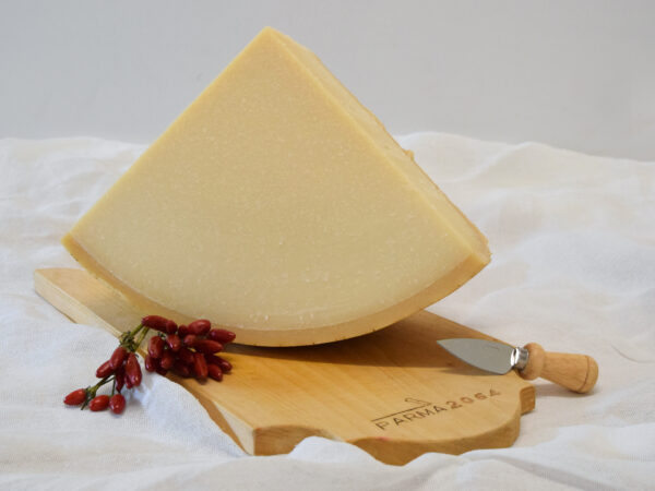 Il Parmigiano Reggiano 30 mesi (Copia) - immagine 3